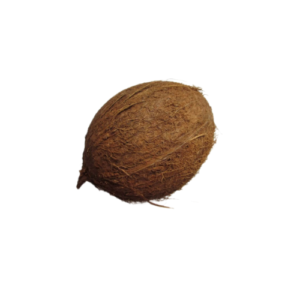 Noix de coco