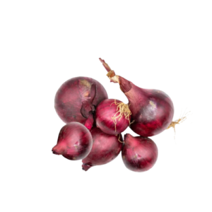 Oignon rouge – 6 pièces